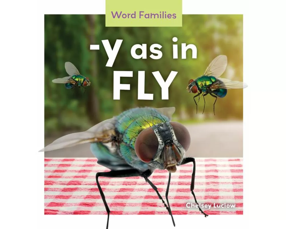 -Y As in Fly