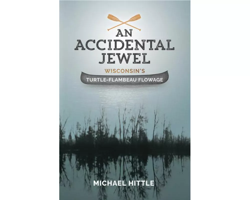 An Accidental Jewel