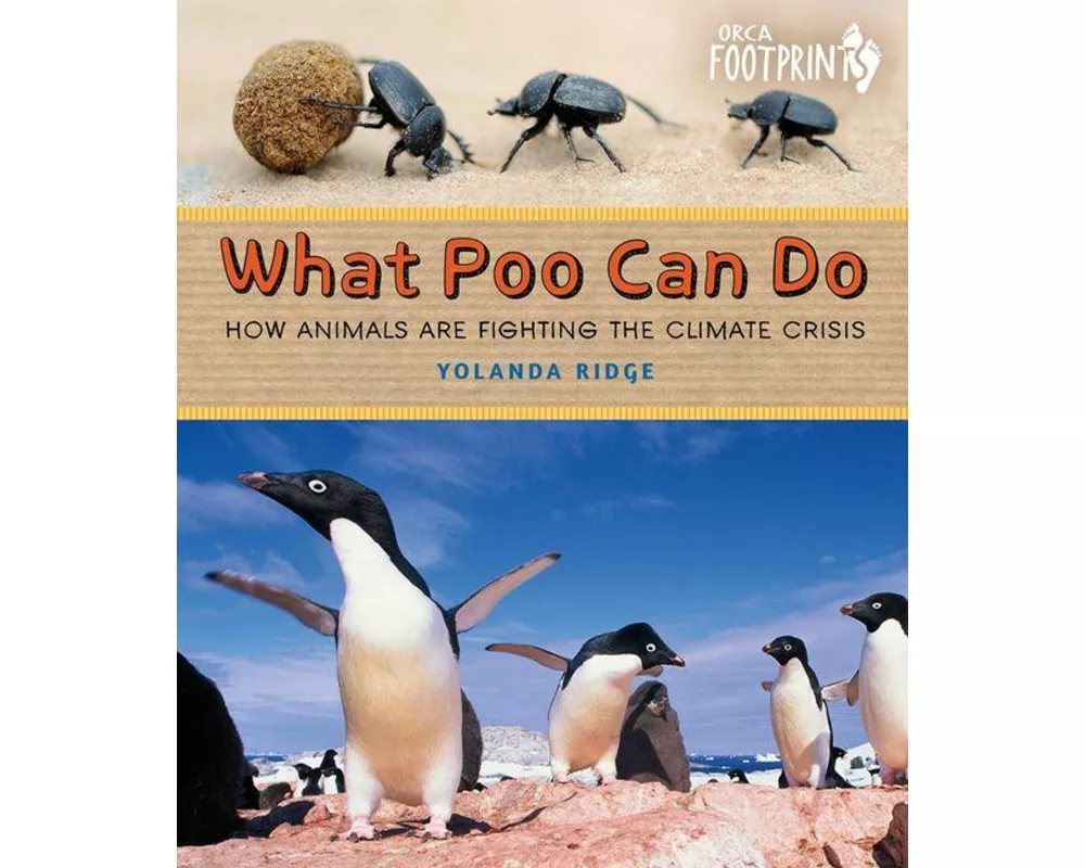 What Poo Can Do