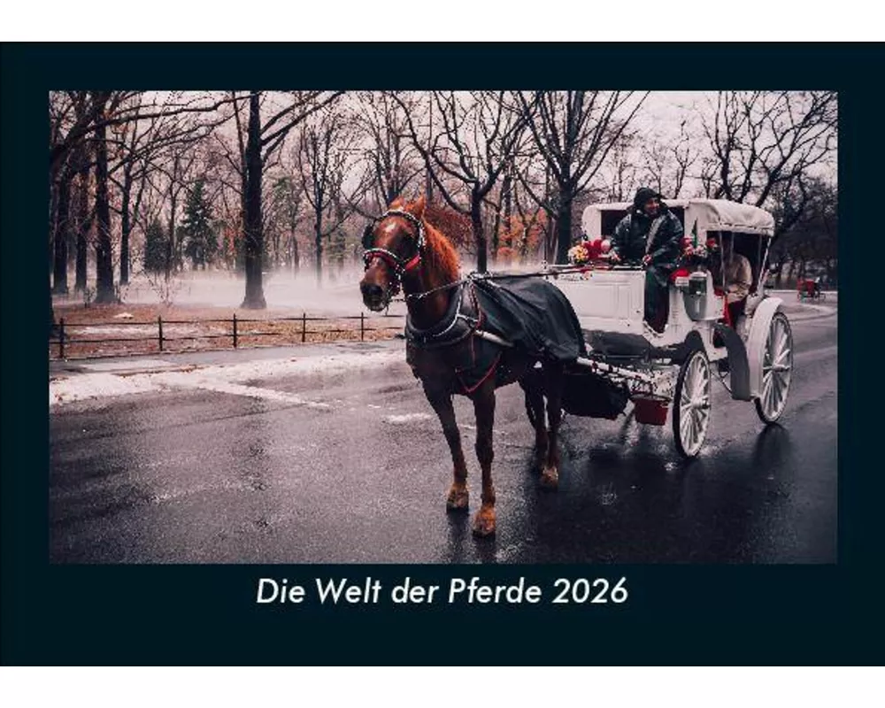 Die Welt der Pferde 2026 Fotokalender DIN A5