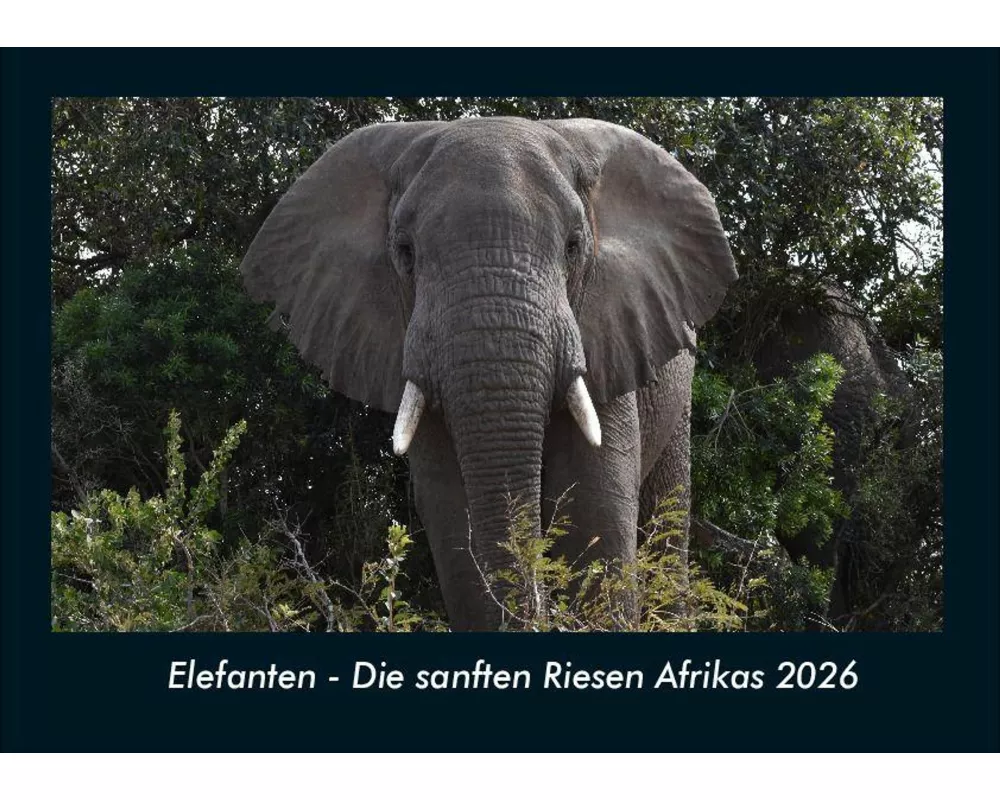 Elefanten - Die sanften Riesen Afrikas 2026 Fotokalender DIN A4