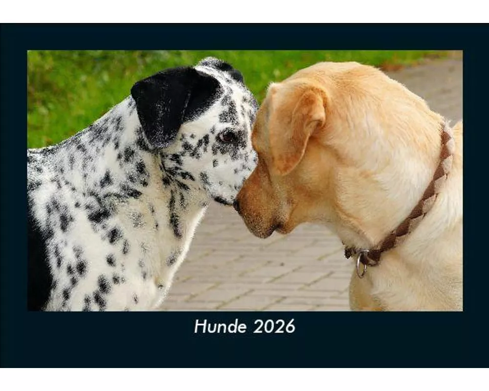 Hunde 2026 Fotokalender DIN A5