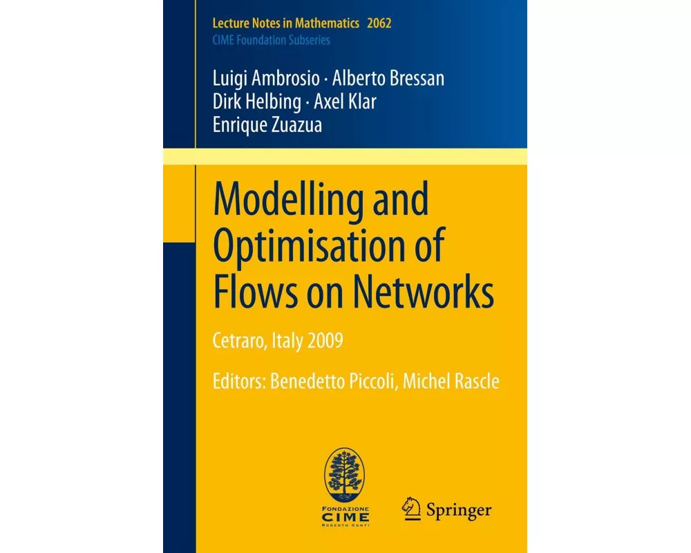 Modelling and Optimisation of Flows on Networks