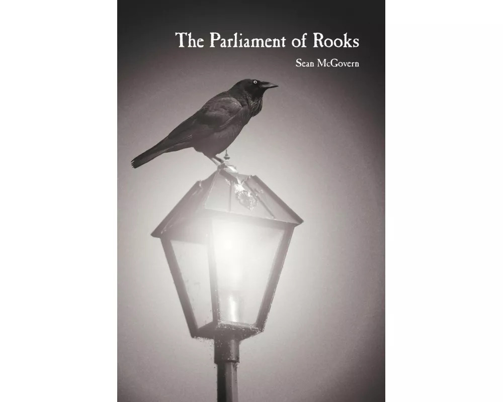 The Parliament of Rooks