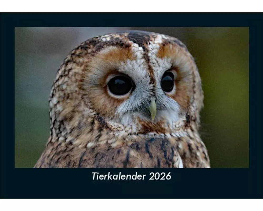 Tierkalender 2026 Fotokalender DIN A5