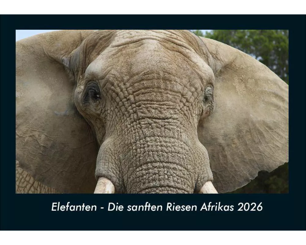 Elefanten - Die sanften Riesen Afrikas 2026 Fotokalender DIN A4