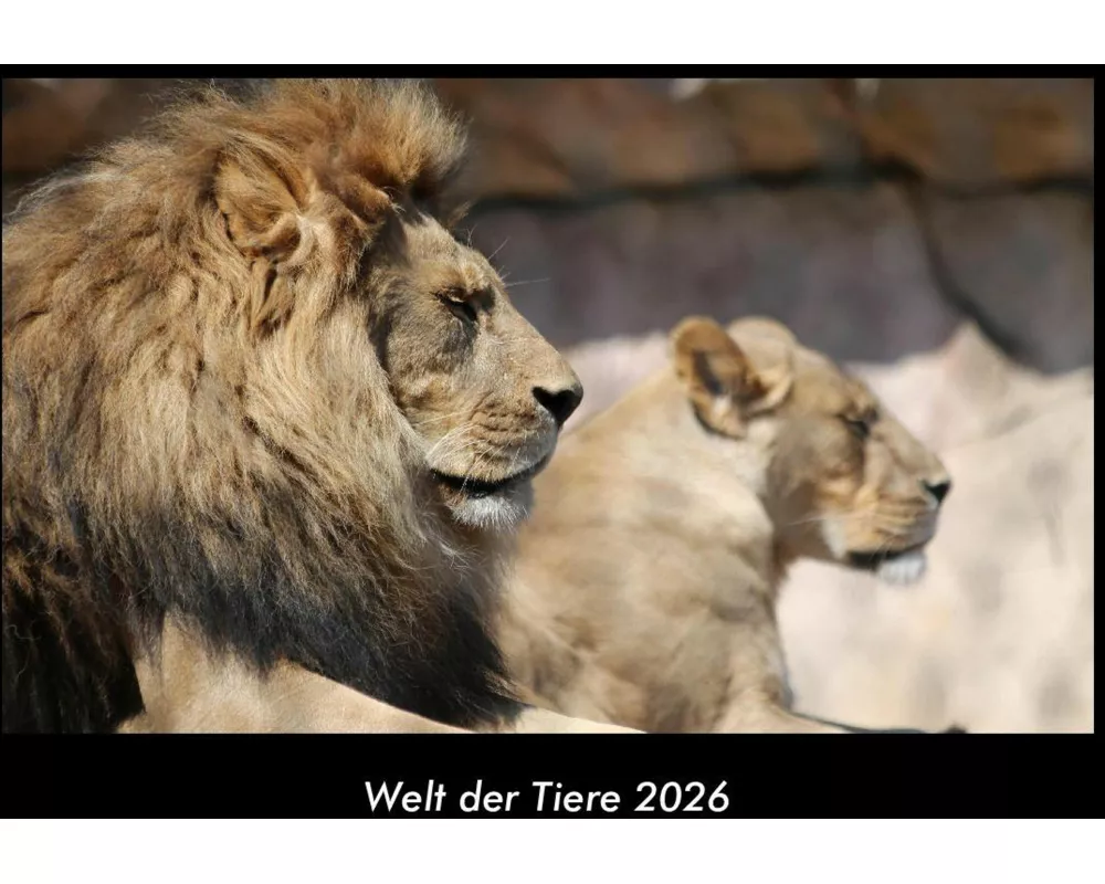 Welt der Tiere 2026 Fotokalender DIN A3