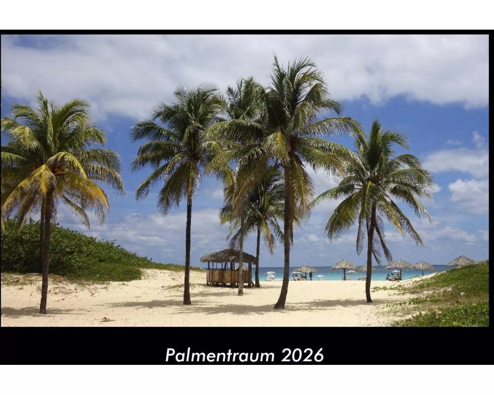 Palmentraum 2026 Fotokalender DIN A3