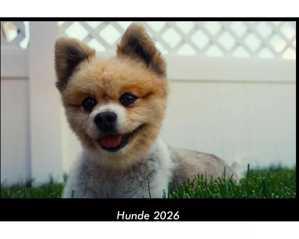 Hunde 2026 Fotokalender DIN A3