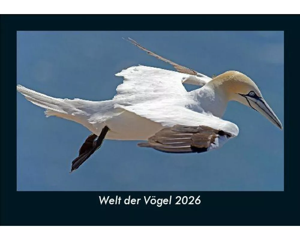 Welt der Vögel 2026 Fotokalender DIN A5