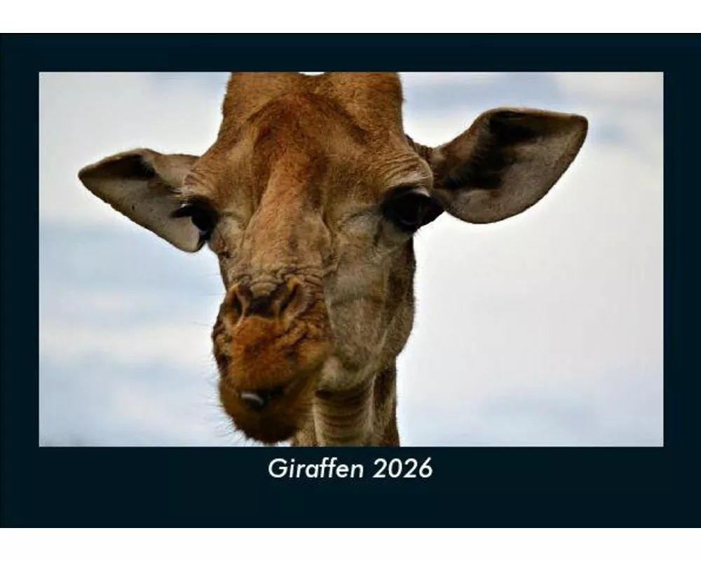 Giraffen 2026 Fotokalender DIN A5