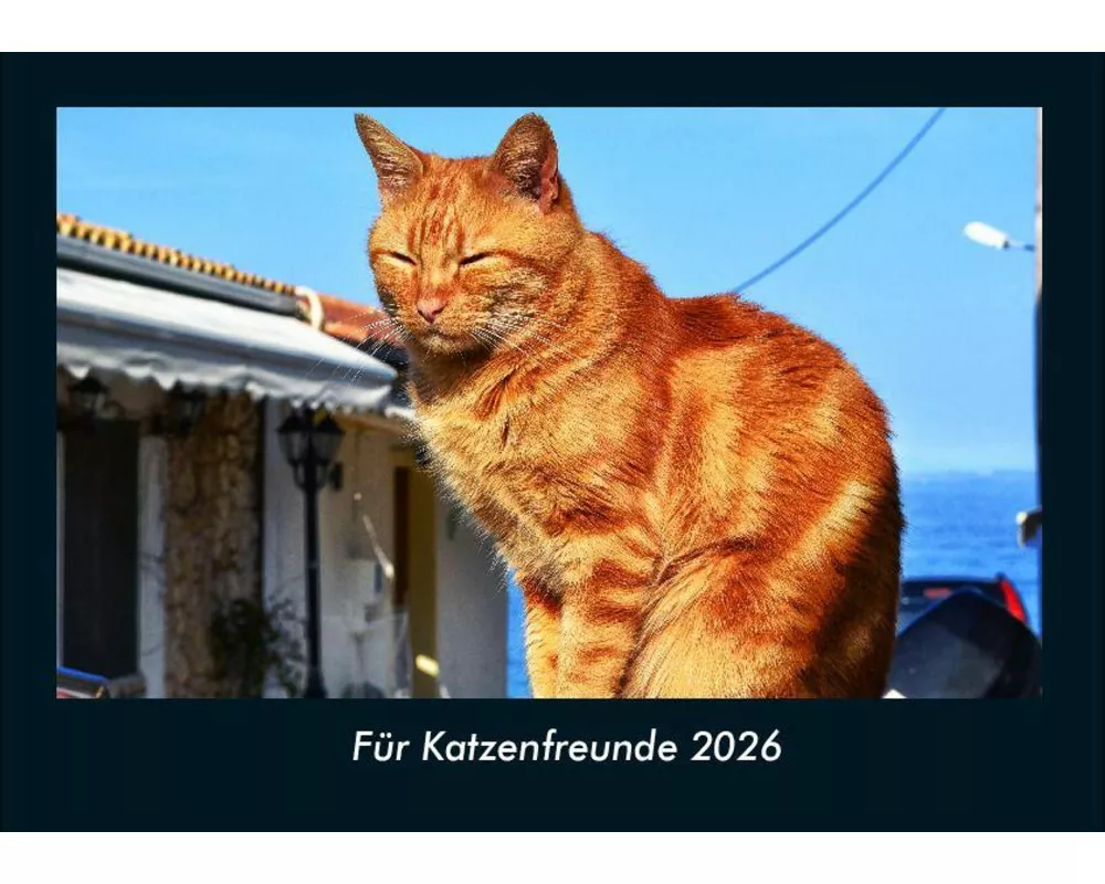 Für Katzenfreunde 2026 Fotokalender DIN A4