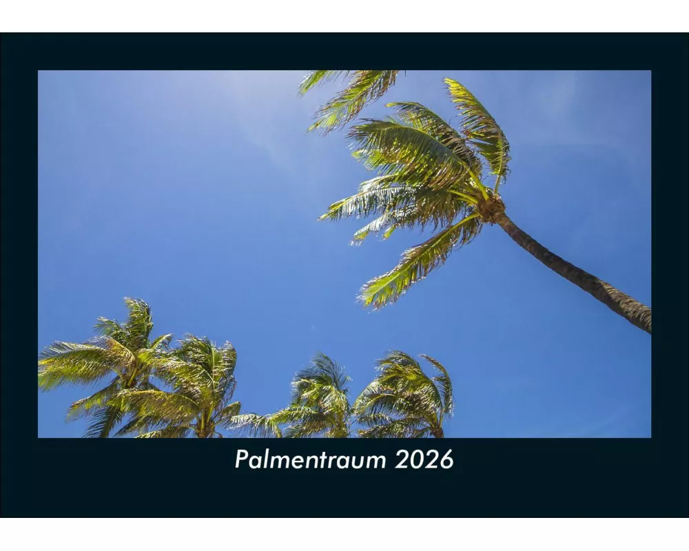 Palmentraum 2026 Fotokalender DIN A5