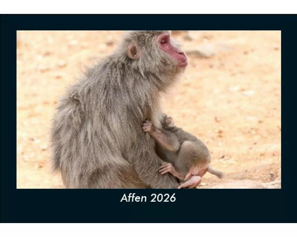 Affen 2026 Fotokalender DIN A5