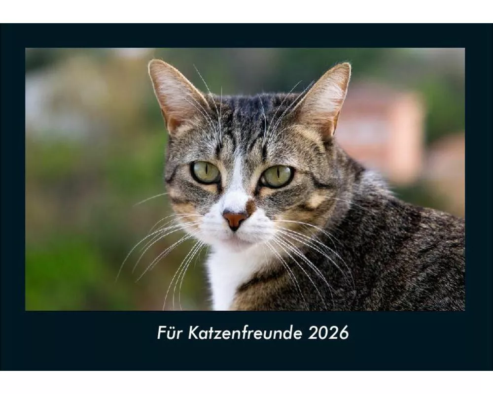 Für Katzenfreunde 2026 Fotokalender DIN A4