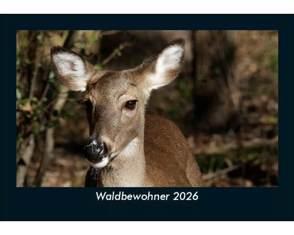 Waldbewohner 2026 Fotokalender DIN A5