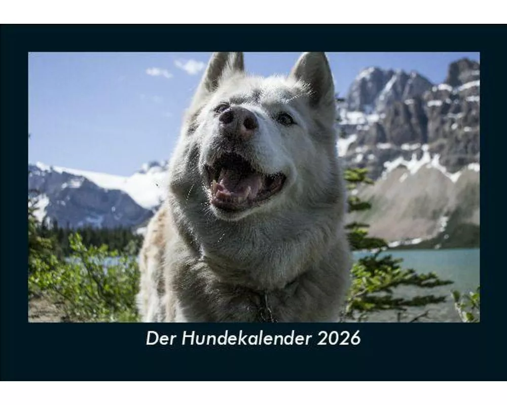 Der Hundekalender 2026 Fotokalender DIN A5