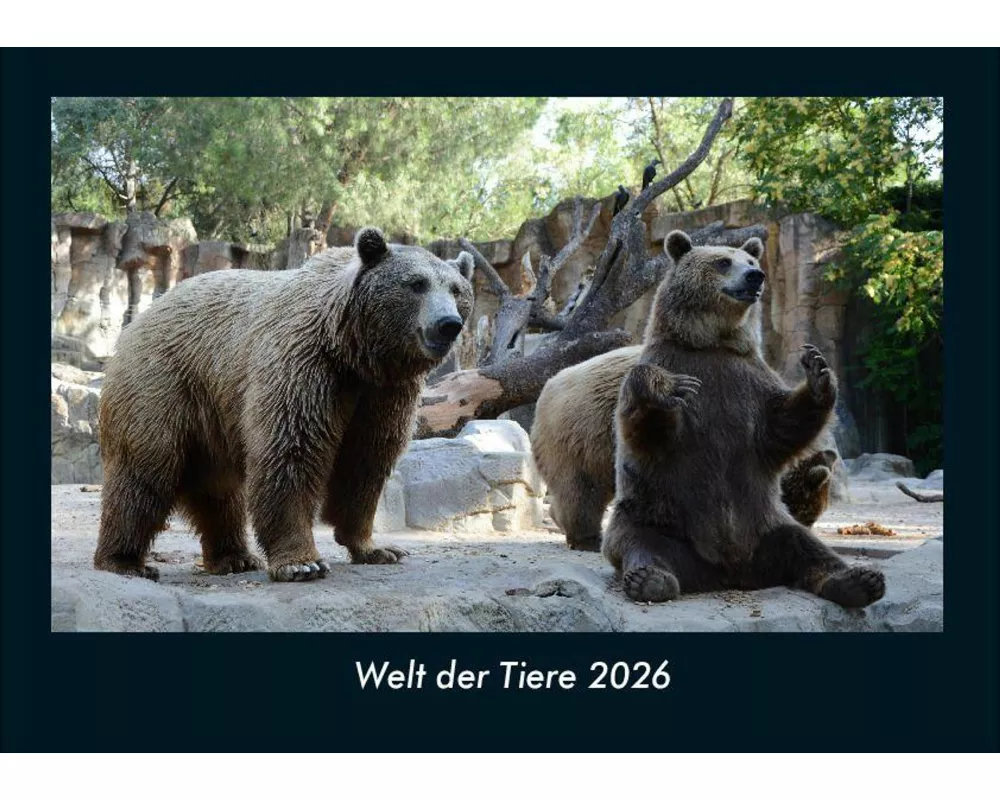 Welt der Tiere 2026 Fotokalender DIN A4