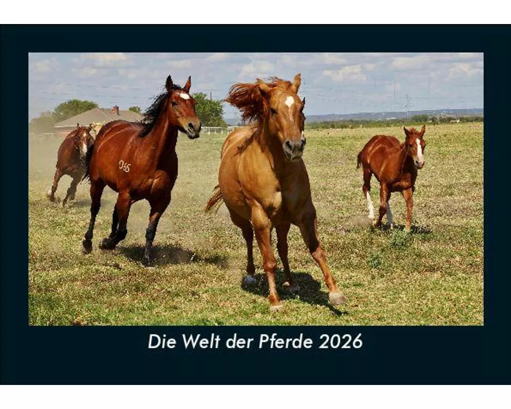 Die Welt der Pferde 2026 Fotokalender DIN A5