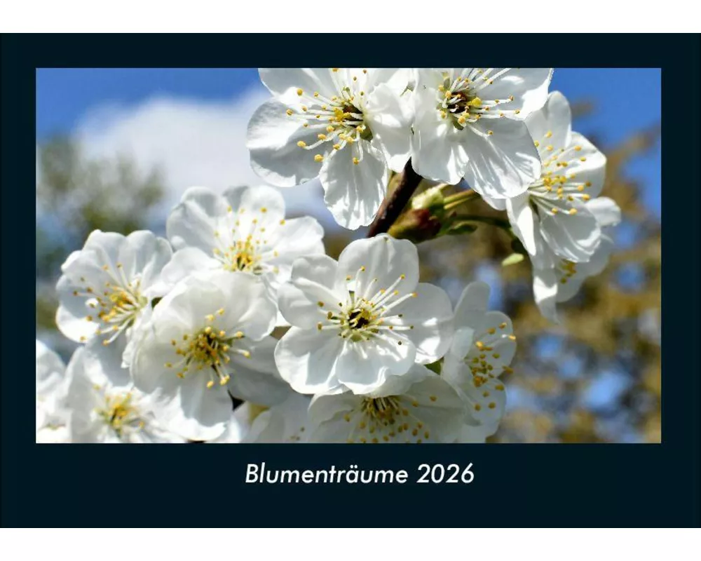Blumenträume 2026 Fotokalender DIN A4