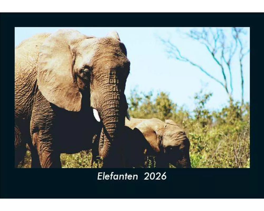 Elefanten 2026 Fotokalender DIN A5