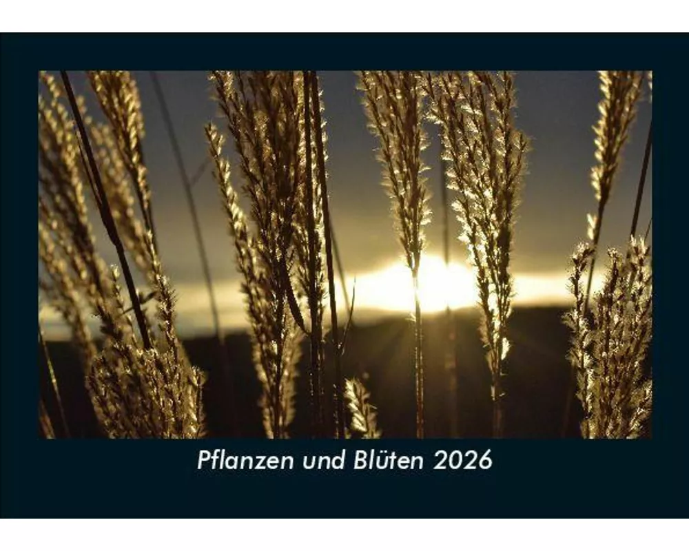 Pflanzen und Blüten 2026 Fotokalender DIN A5
