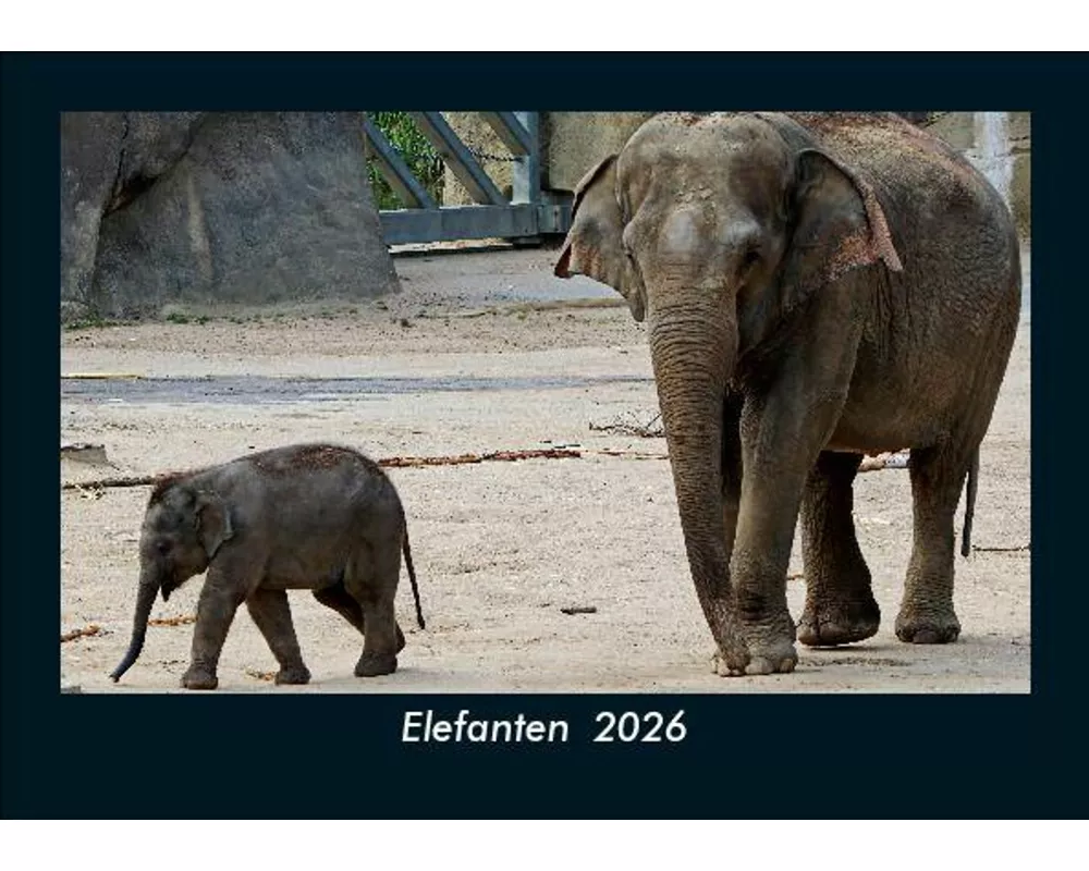 Elefanten 2026 Fotokalender DIN A5
