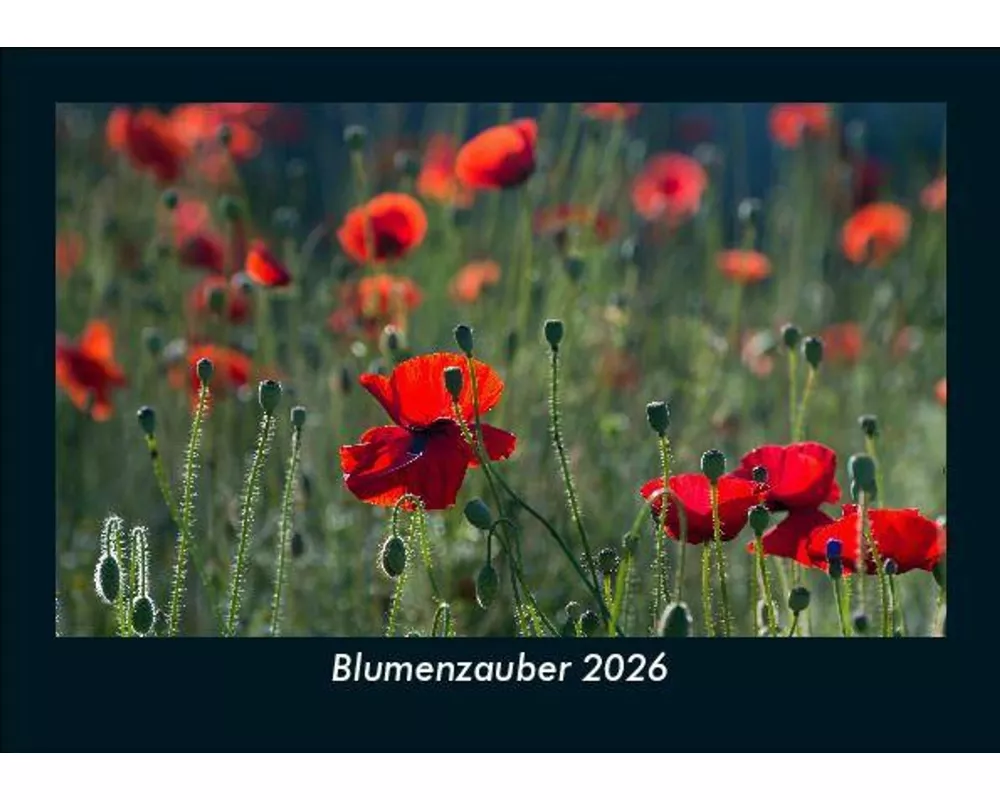 Blumenzauber 2026 Fotokalender DIN A5