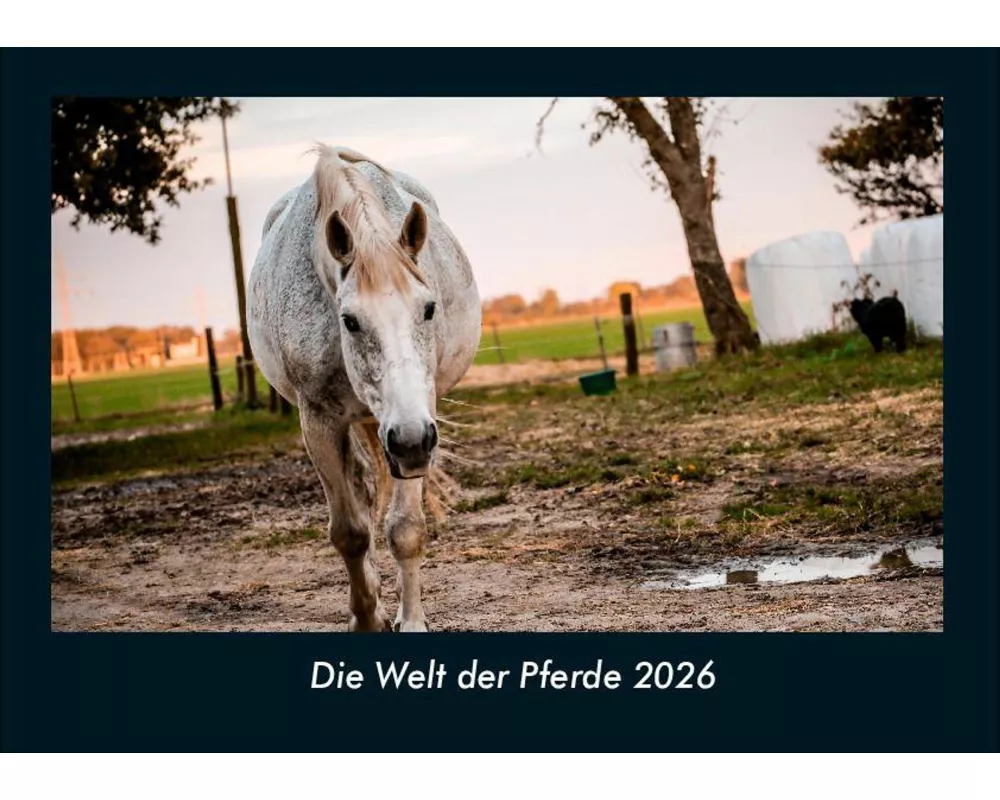 Die Welt der Pferde 2026 Fotokalender DIN A4