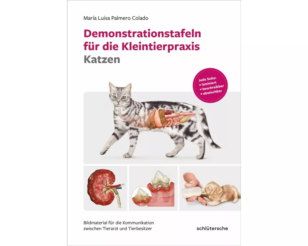 Demonstrationstafeln für die Kleintierpraxis Katzen