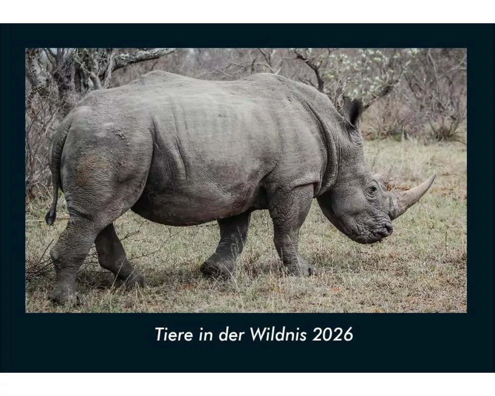 Tiere in der Wildnis 2026 Fotokalender DIN A4