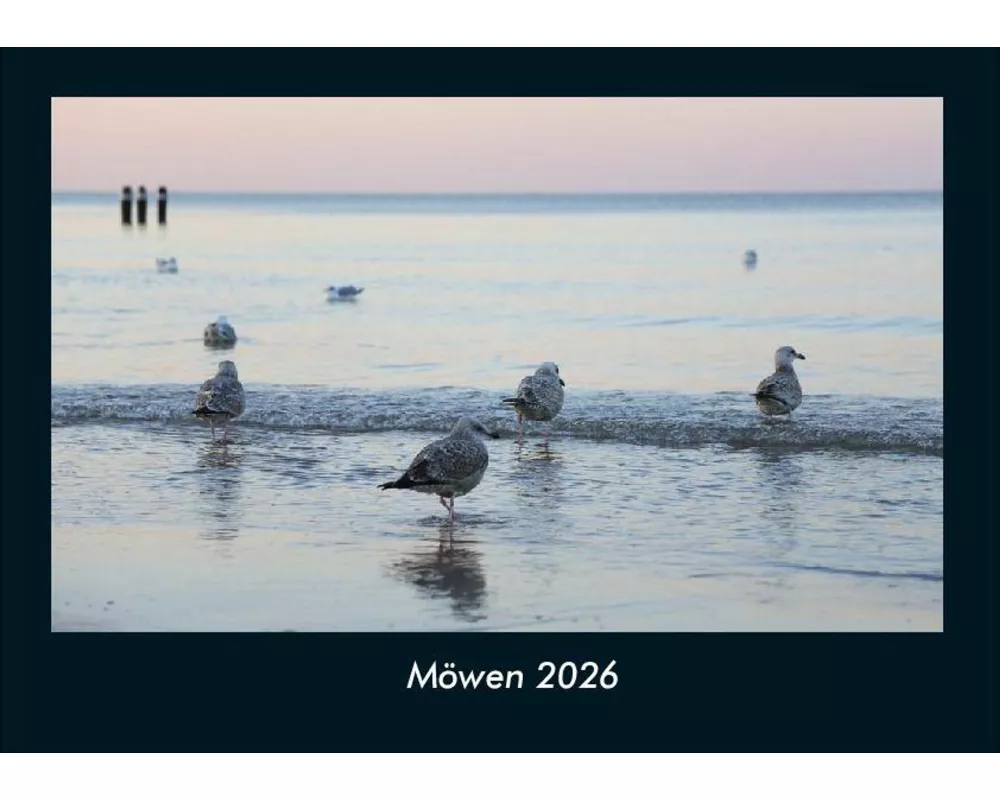 Möwen 2026 Fotokalender DIN A4