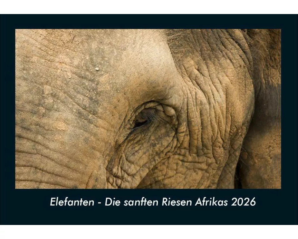 Elefanten - Die sanften Riesen Afrikas 2026 Fotokalender DIN A4