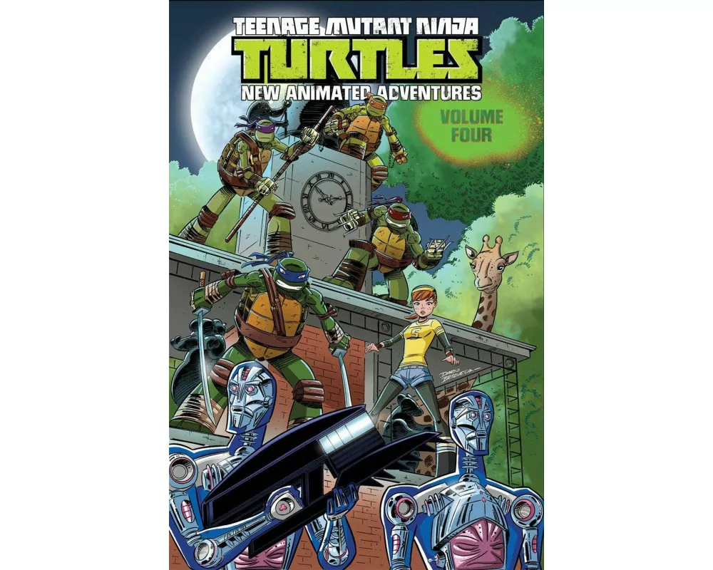 Teenage Mutant Ninja Turtles: New Animated Adventures Volume 4
