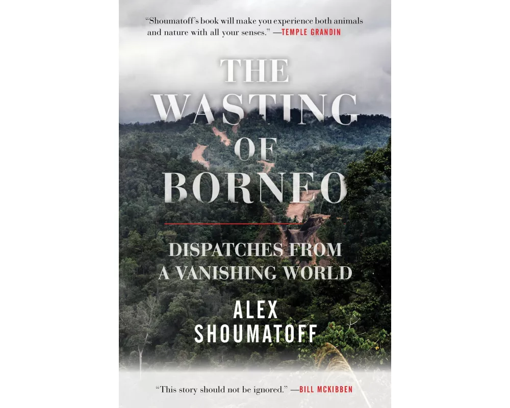 The Wasting of Borneo
