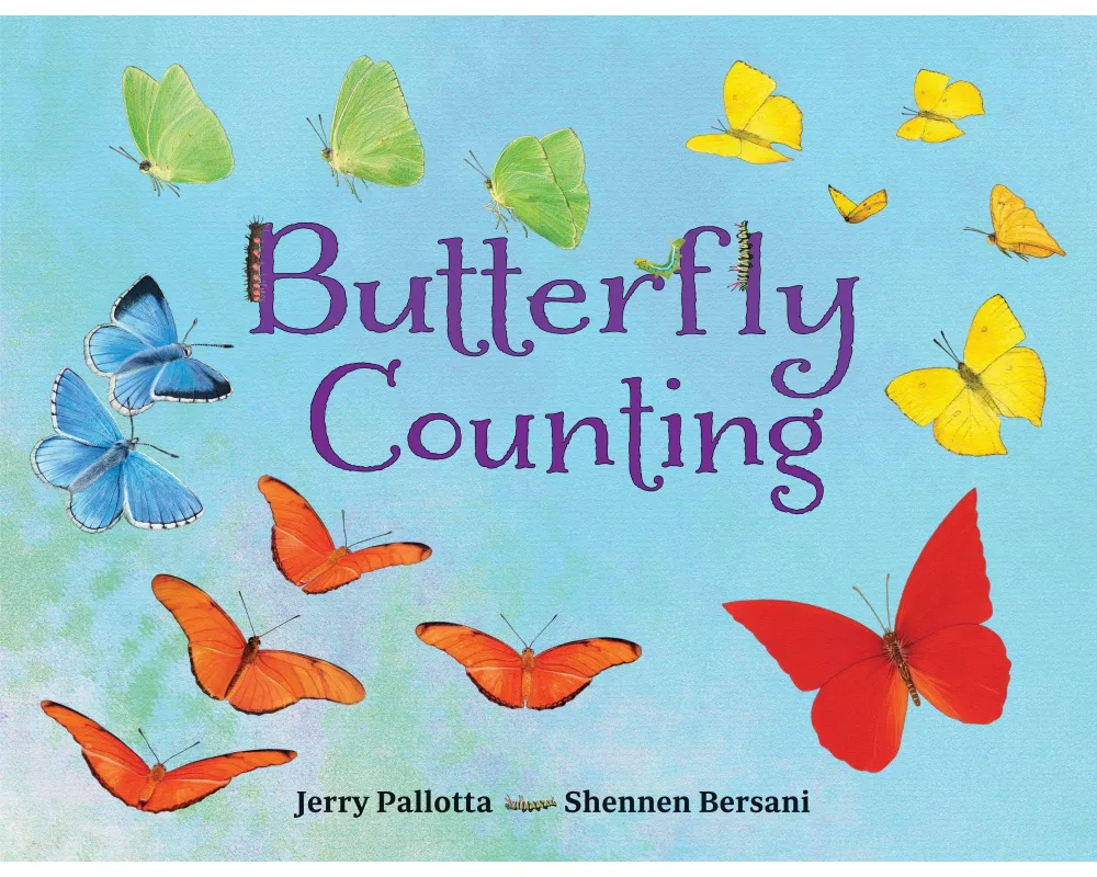 Butterfly Counting