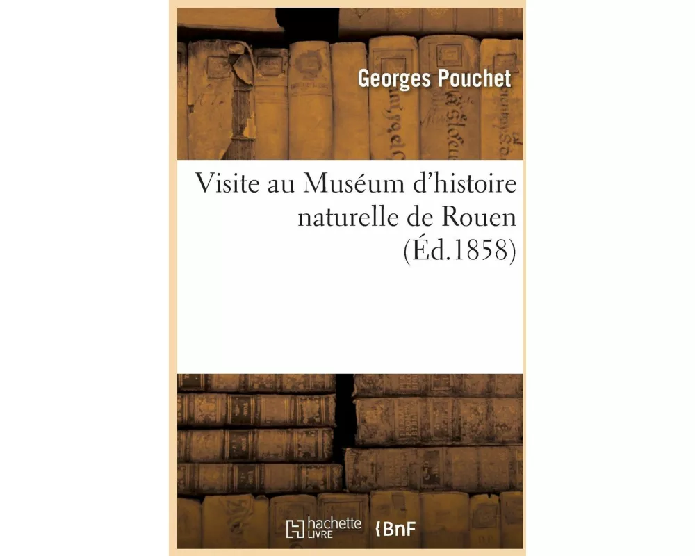Visite Au Muséum d'Histoire Naturelle de Rouen