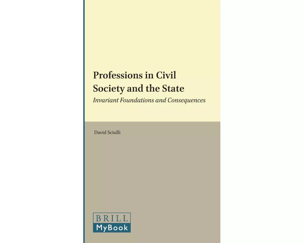 Professions in Civil Society and the State