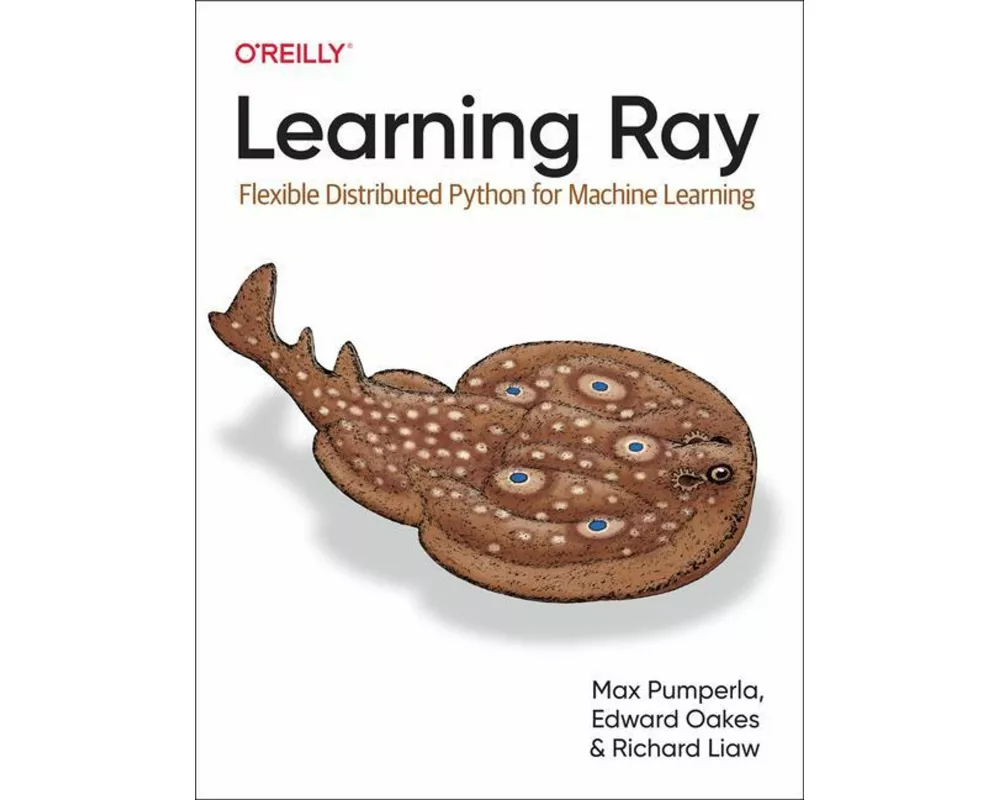 Learning Ray