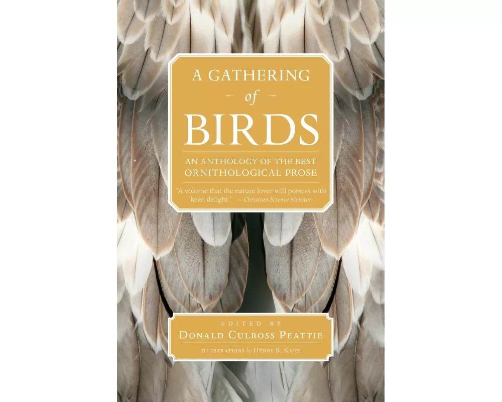 A Gathering of Birds
