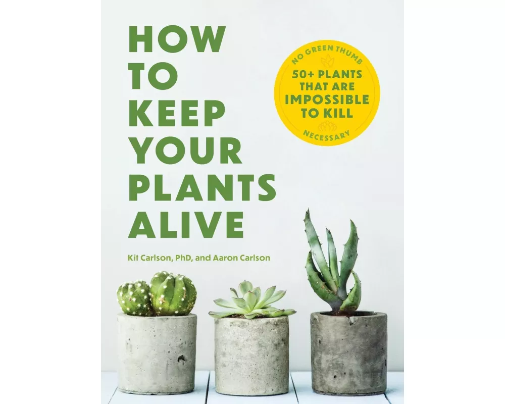 How to Keep Your Plants Alive