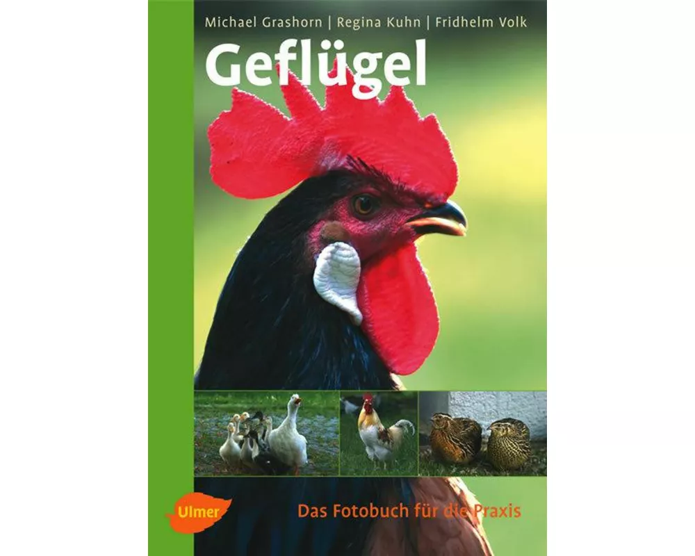 Geflügel