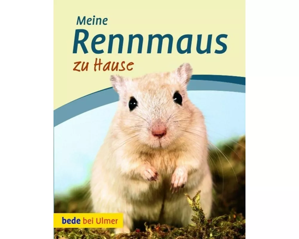 Meine Rennmaus zu Hause