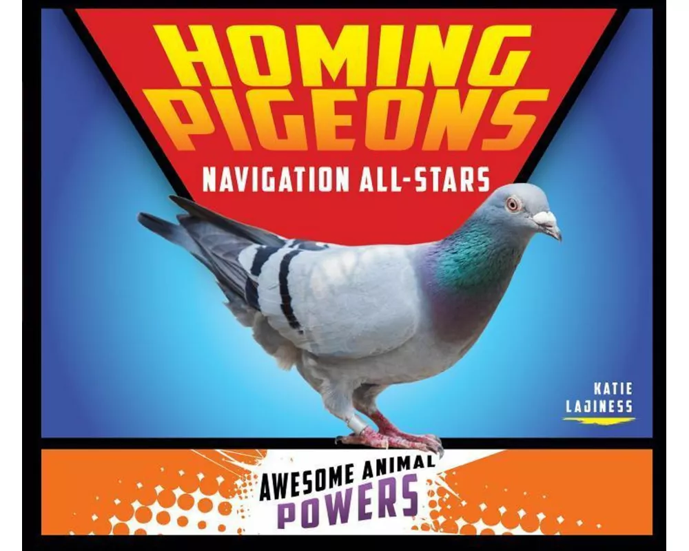 Homing Pigeons: Navigation All-Stars
