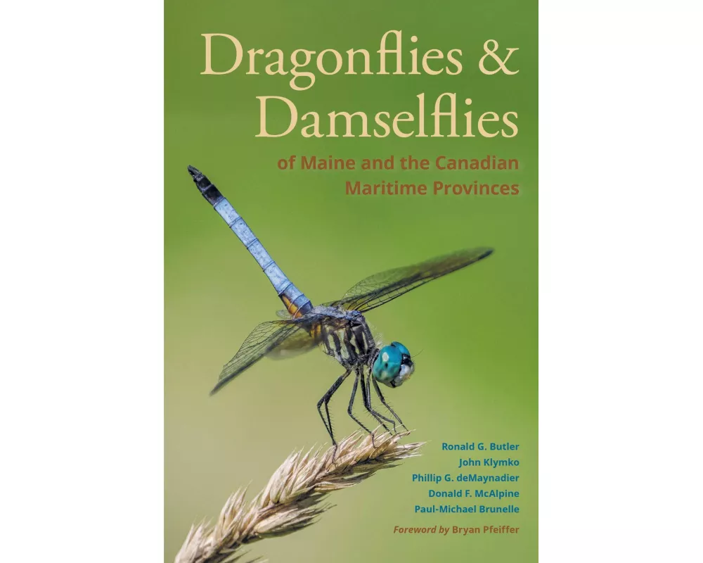 Dragonflies and Damselflies of Maine and the Canadian Maritime Provinces