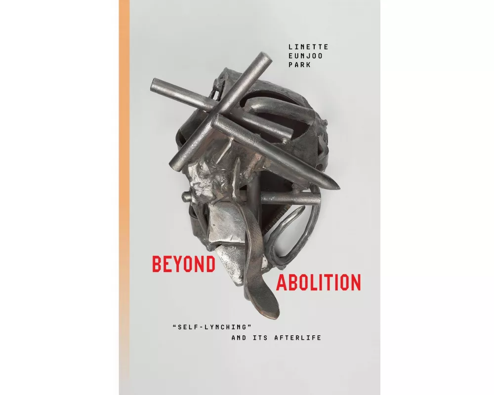 Beyond Abolition