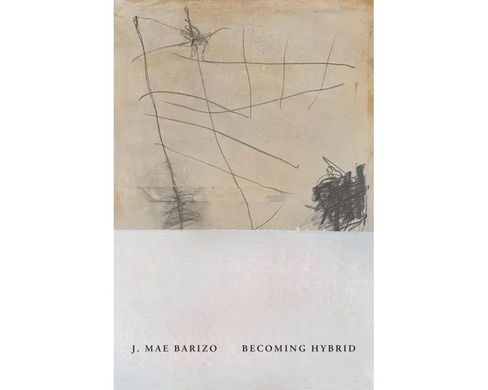 Becoming Hybrid