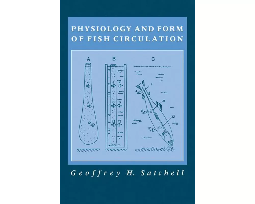 Physiology and Form of Fish Circulation