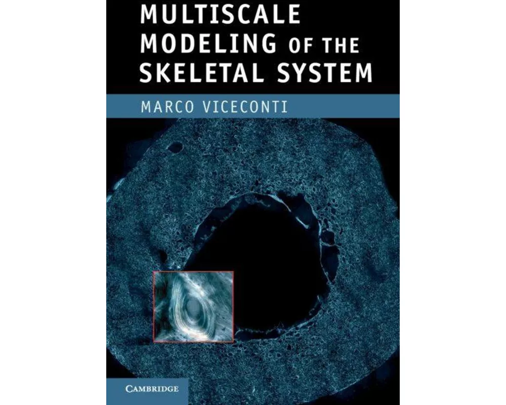 Multiscale Modeling of the Skeletal System