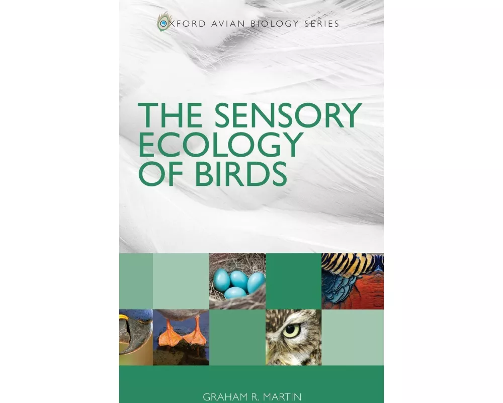 The Sensory Ecology of Birds